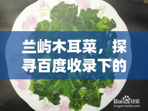 兰屿木耳菜，探寻百度收录下的美味秘境！