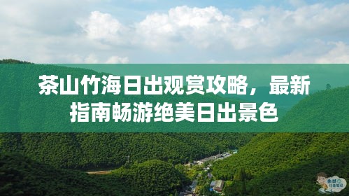 茶山竹海日出观赏攻略，最新指南畅游绝美日出景色