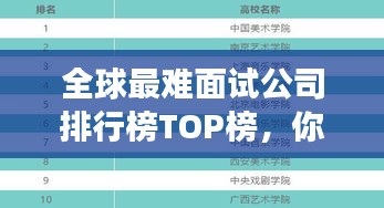 全球最难面试公司排行榜TOP榜，你准备好了吗？