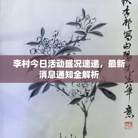 李村今日活动盛况速递，最新消息通知全解析