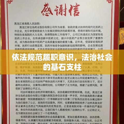 依法规范履职意识，法治社会的基石支柱