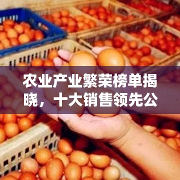 农业产业繁荣榜单揭晓，十大销售领先公司引领行业风向标