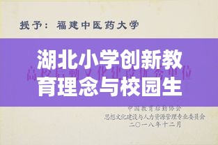 湖北小学创新教育理念与校园生活融合，新闻头条报道