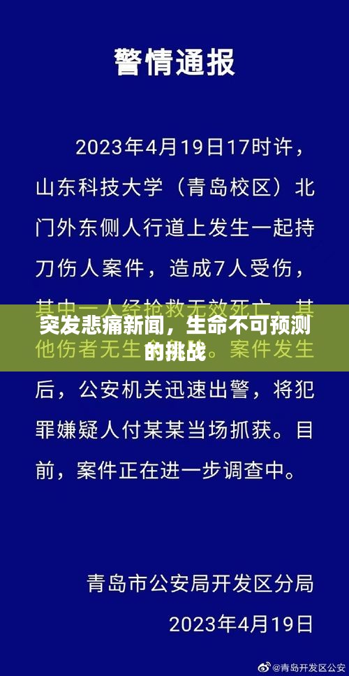 突发悲痛新闻，生命不可预测的挑战