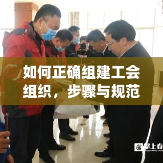 如何正确组建工会组织，步骤与规范指南