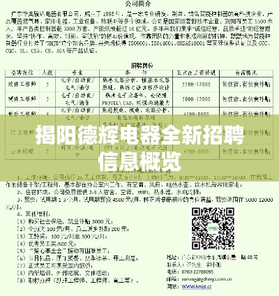 揭阳德辉电器全新招聘信息概览