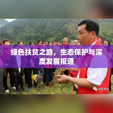 绿色扶贫之路，生态保护与深度发展报道