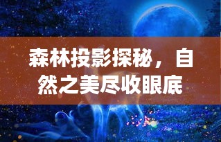 森林投影探秘，自然之美尽收眼底，最佳旅游攻略指南！