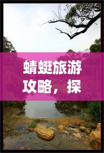 蜻蜓旅游攻略，探访优雅胜地的绝佳指南