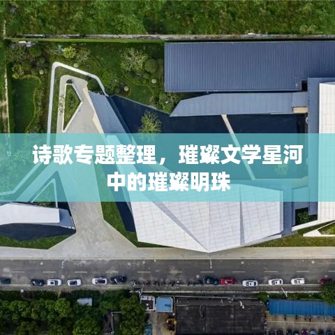 诗歌专题整理，璀璨文学星河中的璀璨明珠