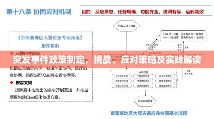 突发事件政策制定，挑战、应对策略及实践解读