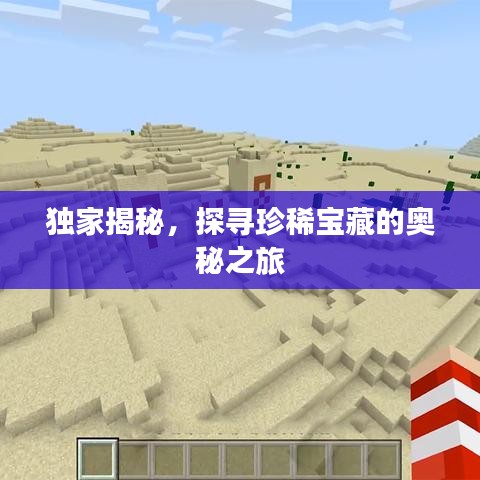 独家揭秘，探寻珍稀宝藏的奥秘之旅