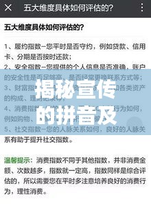 揭秘宣传的拼音及其背后的重要性，为何它如此关键？