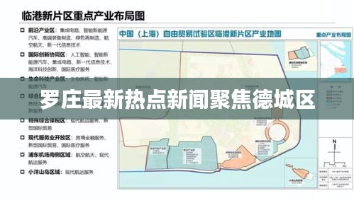 罗庄最新热点新闻聚焦德城区