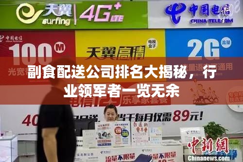 副食配送公司排名大揭秘，行业领军者一览无余
