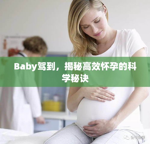 Baby驾到，揭秘高效怀孕的科学秘诀