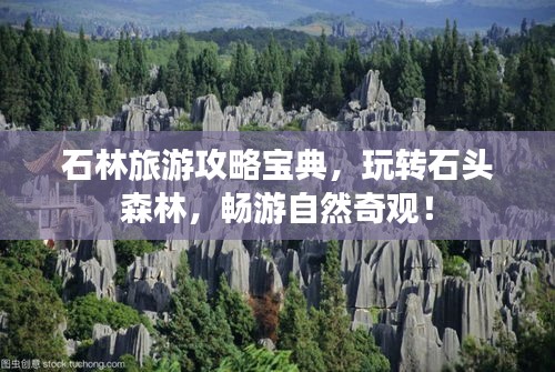 石林旅游攻略宝典，玩转石头森林，畅游自然奇观！