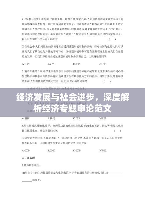 经济发展与社会进步，深度解析经济专题申论范文