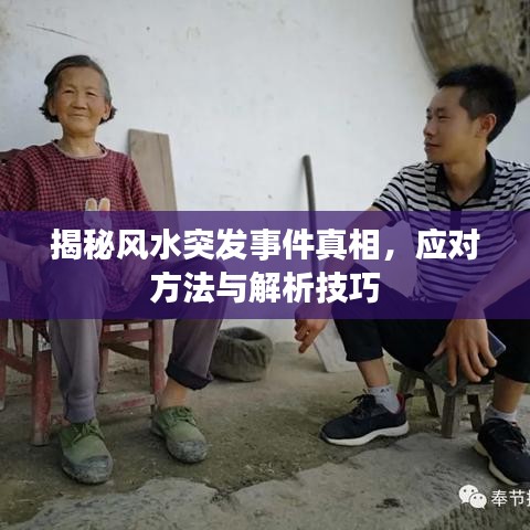 蛾眉曼睩