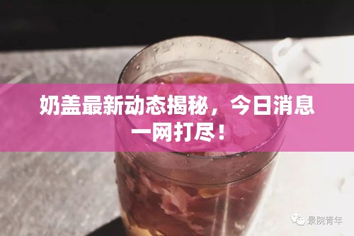 奶盖最新动态揭秘，今日消息一网打尽！
