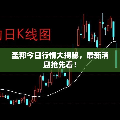 圣邦今日行情大揭秘，最新消息抢先看！