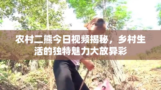 农村二熊今日视频揭秘，乡村生活的独特魅力大放异彩