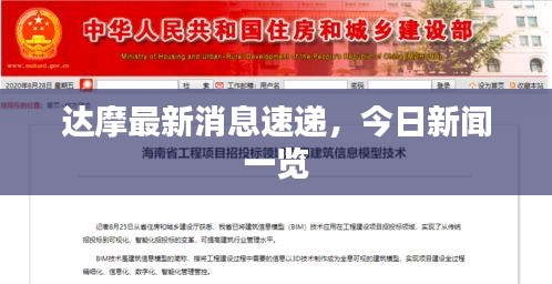 达摩最新消息速递，今日新闻一览