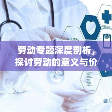 劳动专题深度剖析，探讨劳动的意义与价值