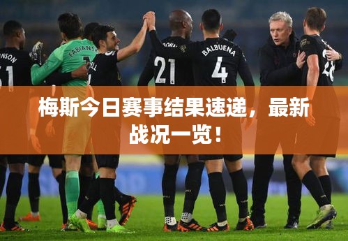 梅斯今日赛事结果速递，最新战况一览！