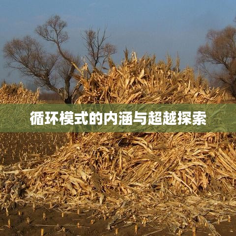 循环模式的内涵与超越探索