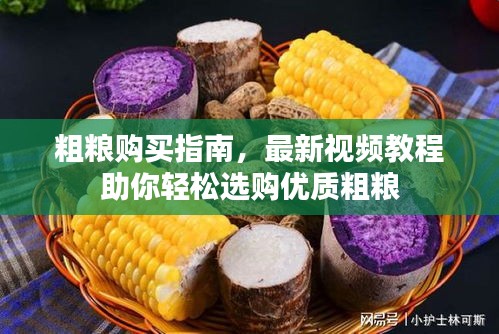 粗粮购买指南，最新视频教程助你轻松选购优质粗粮