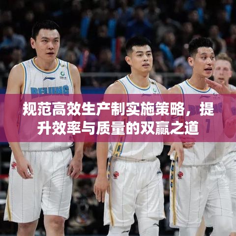规范高效生产制实施策略，提升效率与质量的双赢之道