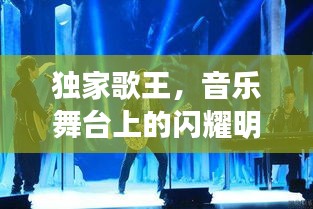 独家歌王，音乐舞台上的闪耀明珠