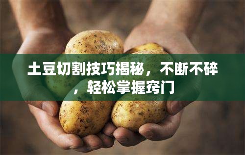 土豆切割技巧揭秘，不断不碎，轻松掌握窍门