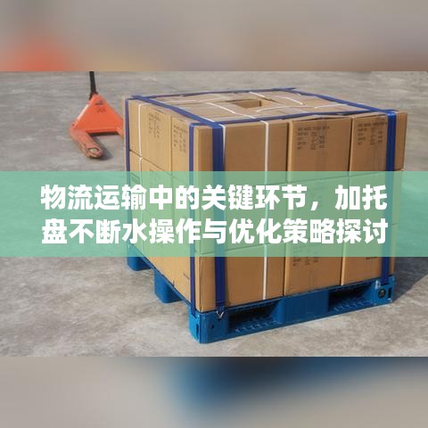 物流运输中的关键环节，加托盘不断水操作与优化策略探讨