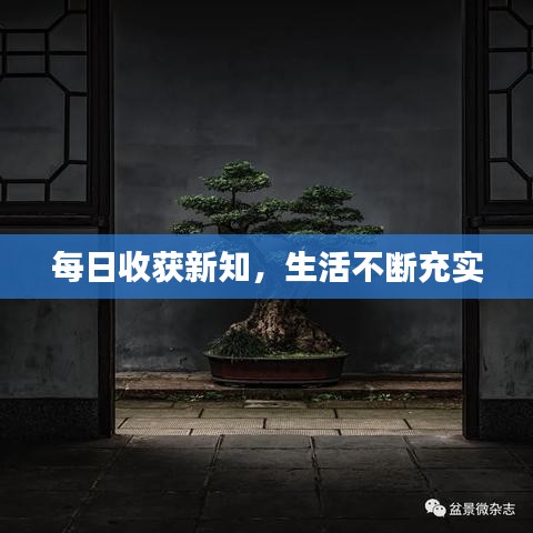 每日收获新知，生活不断充实