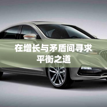在增长与矛盾间寻求平衡之道