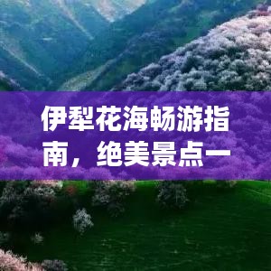 伊犁花海畅游指南，绝美景点一网打尽！