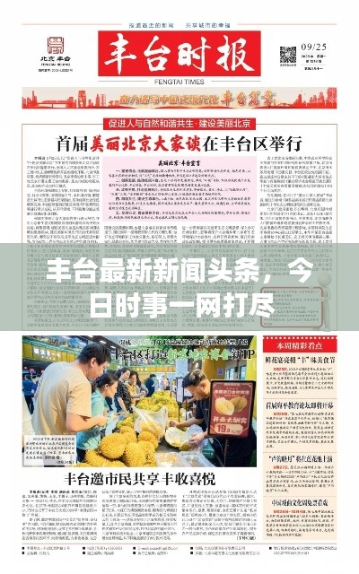 丰台最新新闻头条，今日时事一网打尽