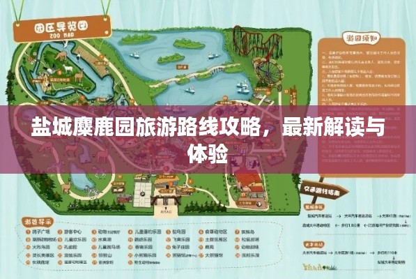 盐城麋鹿园旅游路线攻略，最新解读与体验