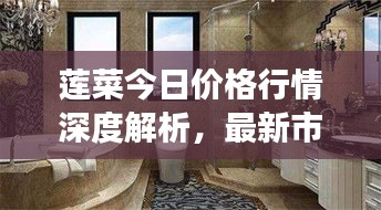 莲菜今日价格行情深度解析，最新市场动态一网打尽！