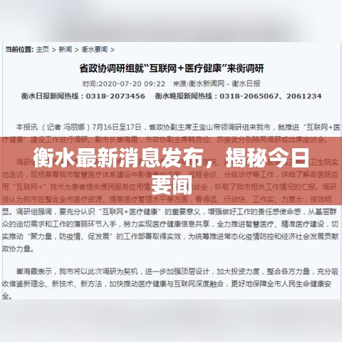衡水最新消息发布，揭秘今日要闻
