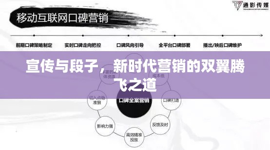 宣传与段子，新时代营销的双翼腾飞之道