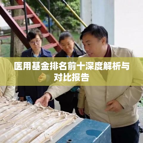 医用基金排名前十深度解析与对比报告