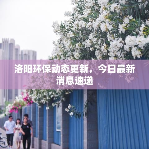 洛阳环保动态更新，今日最新消息速递