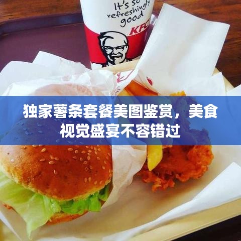 独家薯条套餐美图鉴赏，美食视觉盛宴不容错过