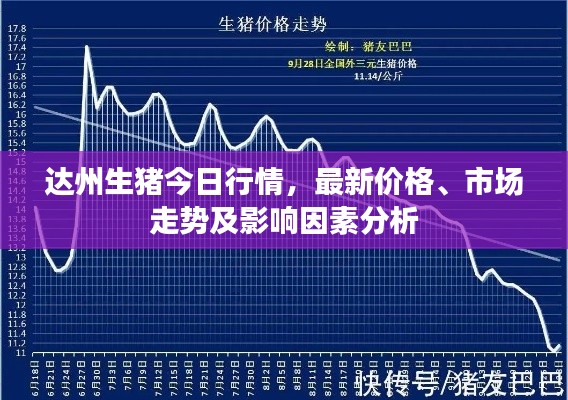 达州生猪今日行情，最新价格、市场走势及影响因素分析