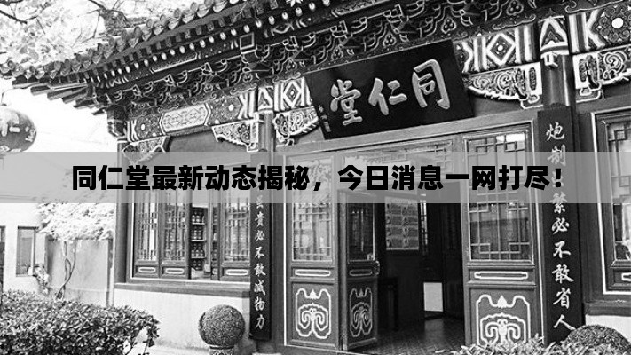 同仁堂最新动态揭秘，今日消息一网打尽！