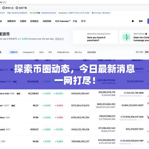 探索币圈动态，今日最新消息一网打尽！