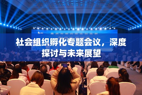 社会组织孵化专题会议，深度探讨与未来展望